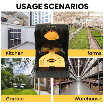 PAMAX Household Daily Necessities, Household Items, Clips.